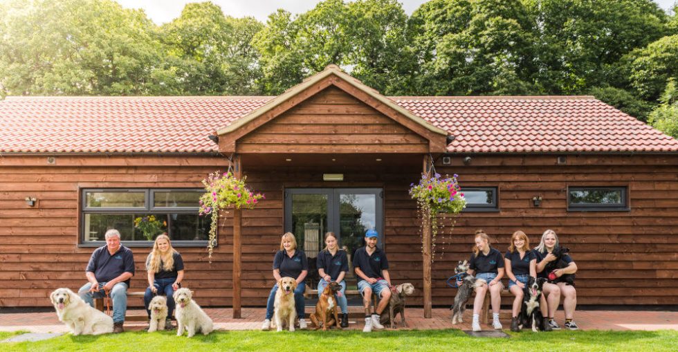 The Conifers Canine Hotel Dog Kennels near Bedford